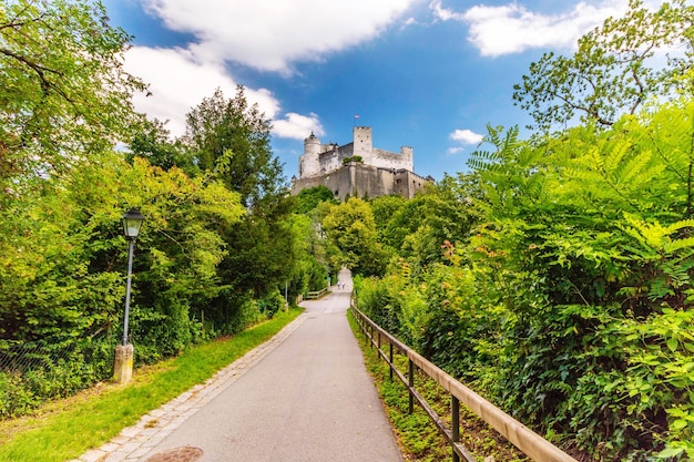 Leeg weg naar het kasteel in het park.