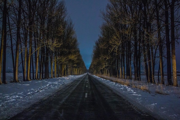 Leeg weg te midden van bomen in het bos tegen de lucht