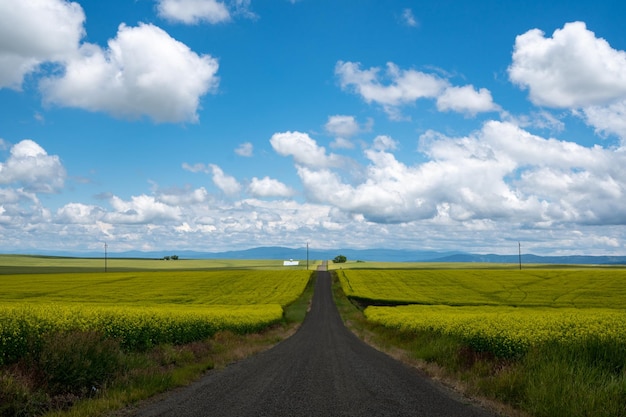 Foto leeg weg te midden van het veld tegen de lucht