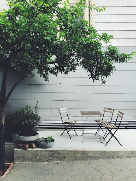 Leegte stoelen en tafel bij de boom in de achtertuin.