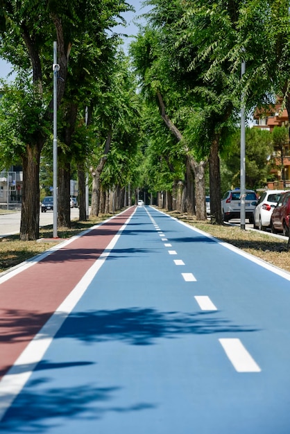 Foto leegte weg langs bomen