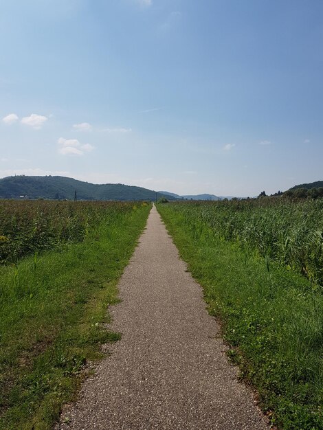 Foto leegte weg langs het landschap