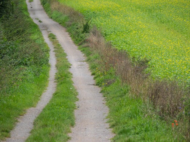 Foto leegte weg langs het landschap