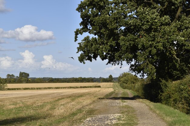 Foto leegte weg langs het landschap