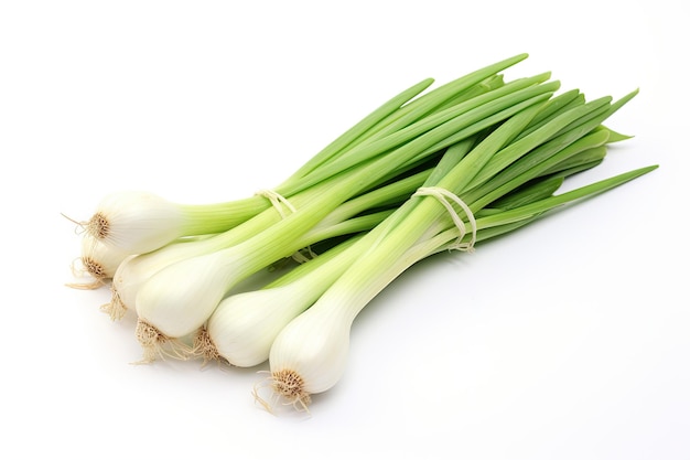 Leek or field garlic alone on white