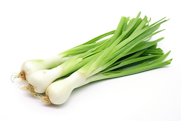 Leek or field garlic alone on white