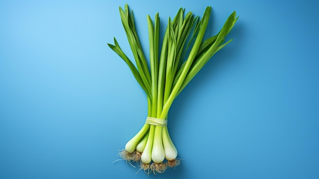 Leek Serenity