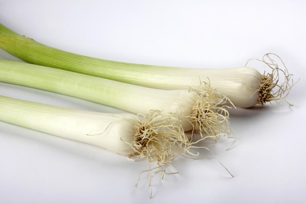 leek on a white background