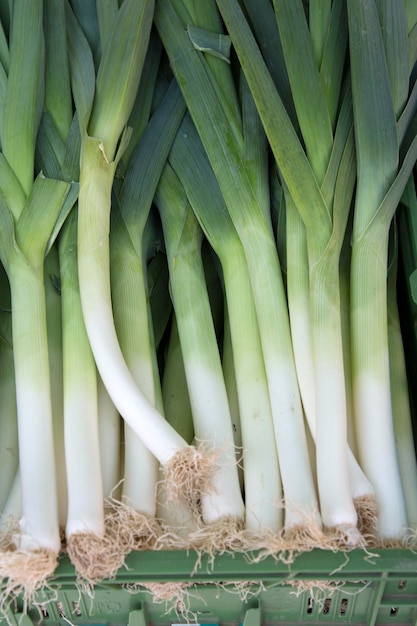 Leeks in Box on Market