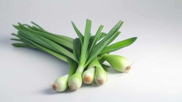 leeks isolated