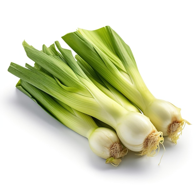 leeks on white background