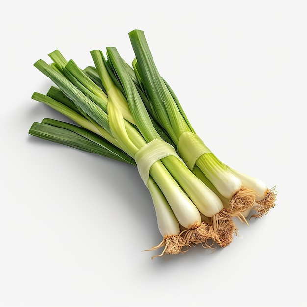 leeks on white background