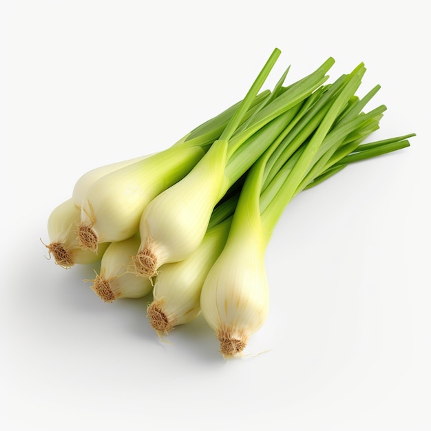 leeks on white background