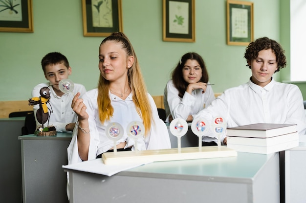 Leerlingen bij biologieles op school met dierlijke celmodellen op tafel Biologieleraar geeft les aan scholieren in de klas Onderwijs op school voor biologie en scheikunde