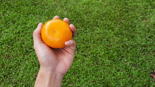 Mano sinistra che tiene sunkist arancione su sfondo di erba, ritratto ad angolo