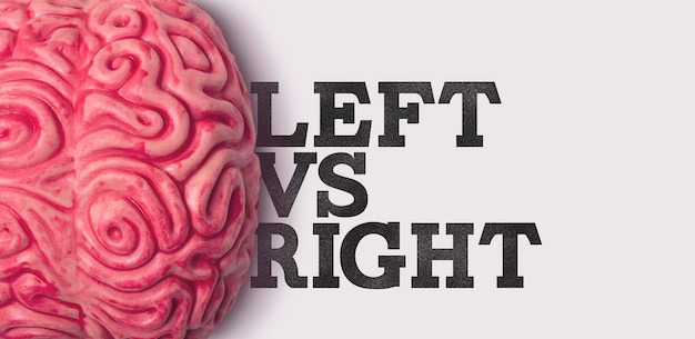 Left vs right word next to a human brain model