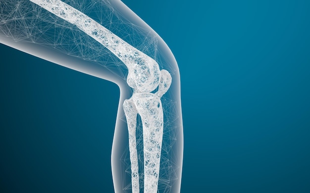 Photo leg bones and knees 3d rendering