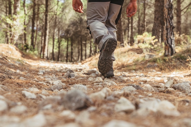 Photo leg view of hiker walking in forest