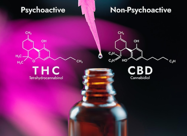 Legalized CBD oil on the tip of a hemp close to bottle with biochemistry formula