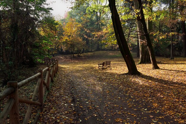 Lege banken in een park met gevallen bladeren in de tuin van Villa Belgiojoso Bonaparte, Milaan, Italië