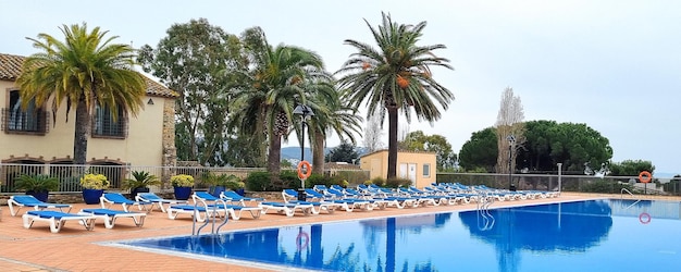 Lege blauwe ligbedden aan de zijkant van het zwembad in een tropisch hotel met uitzicht op de palmen Relaxingno people