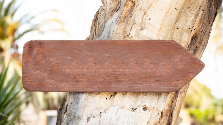 Foto lege directionele houten bord op een boomstam close-up weergave ruimte voor tekst