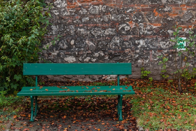 Lege groene parkbank met muur en groene bladeren van de klimop