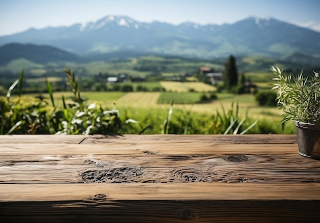 Lege houten tafel met rijstveldweergave achtergrondproductsjablonen