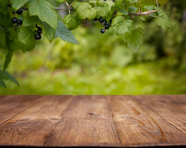 lege houten tafel op de achtergrond van de tuin met krenten