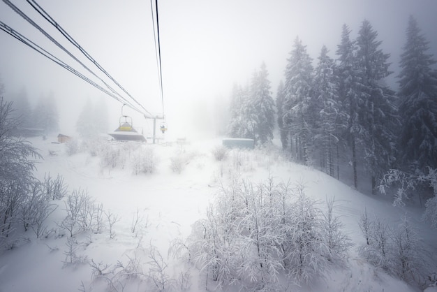 Lege kabelbanen bevinden zich boven het bos dat op besneeuwde heuvels groeit tegen de achtergrond van bergen en mist op een bewolkte winterdag. Concept van wandelen en skiën in de winter