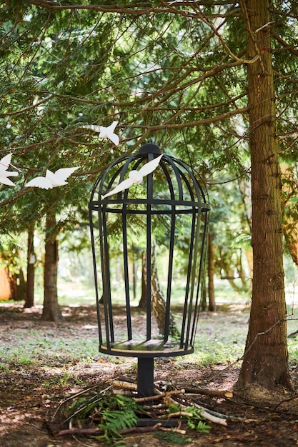 Lege kooi met vogels cirkelen rond decoratieve houten figuren opgehangen aan boomtak