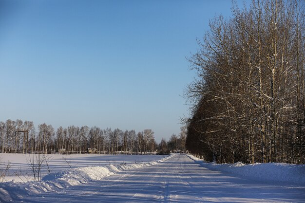 lege landelijke weg in een bos in zonnige winterdag