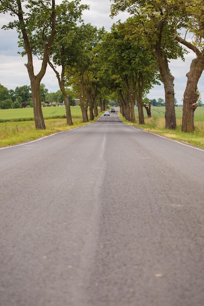 Lege landelijke weg tussen velden van tarwexA