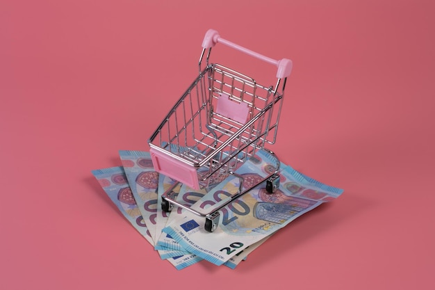 Lege mini-supermarktkarretje over een handvol eurobankbiljetten