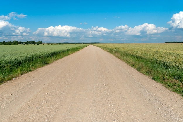 Lege onverharde weg door de velden Pluizige wolken op een warme zomer Zonnige dag over een tarweveld Puur natuur weg van de grote stad Ecotoerisme