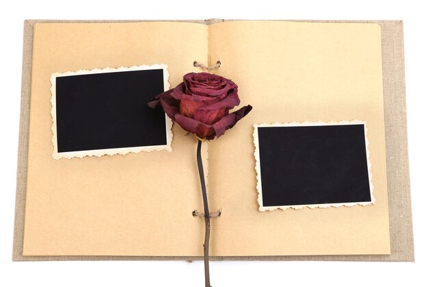 Foto lege oude foto's in album en gedroogde bloem geïsoleerd op wit