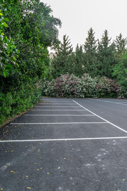 Lege parkeerplaats voor auto's in het park