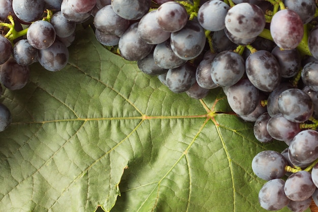 Lege ruimte op blad met verse druif