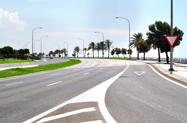 Lege snelweg dicht bij de kust met rij palmbomen in zomerdag