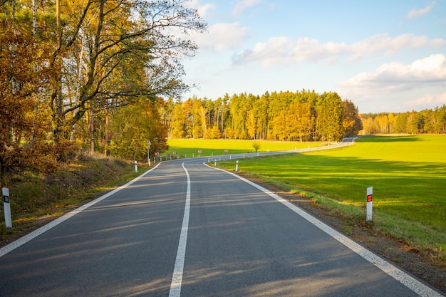 Lege weg door de herfstbos in noord-bohemen, tsjechische republiek