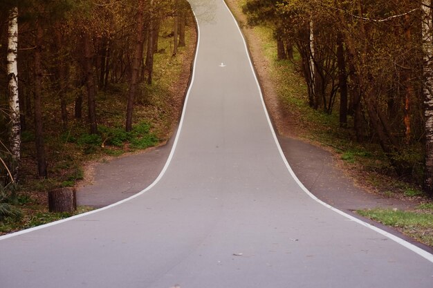 Foto lege weg te midden van bomen