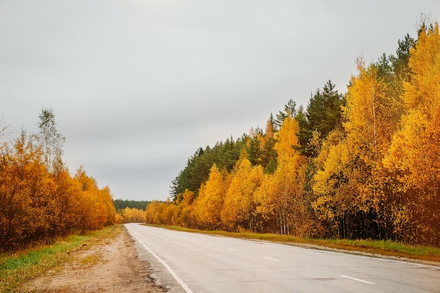 Lege weg tussen het herfstbos van regenachtig landschap