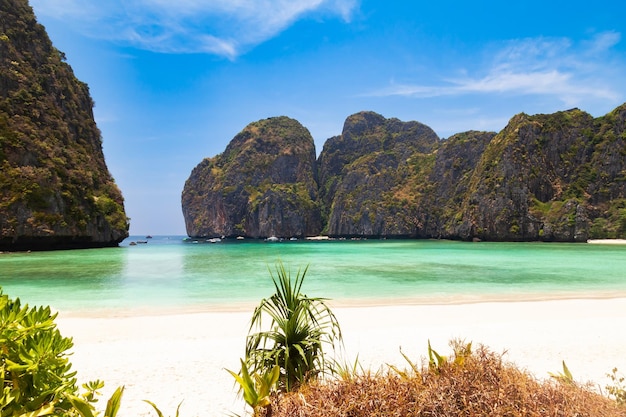 Photo the legendary maya bay beach without people where the film beach with leonardo dicaprio was filmed with a beautiful bay of sand and clear turquoise water unesco world heritage