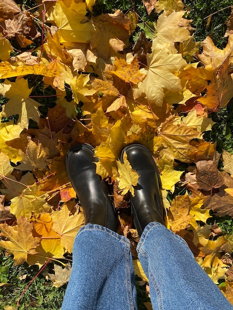 Legs in black boots and blue jeans standing on the ground with\
autumn leaves top view women\'s legs on autumn leaves beautiful\
autumn