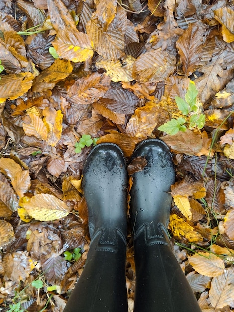 Legs in boots on the wet autumn leaves