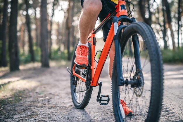 Legs of man in sneakers riding bicycle through pine forest