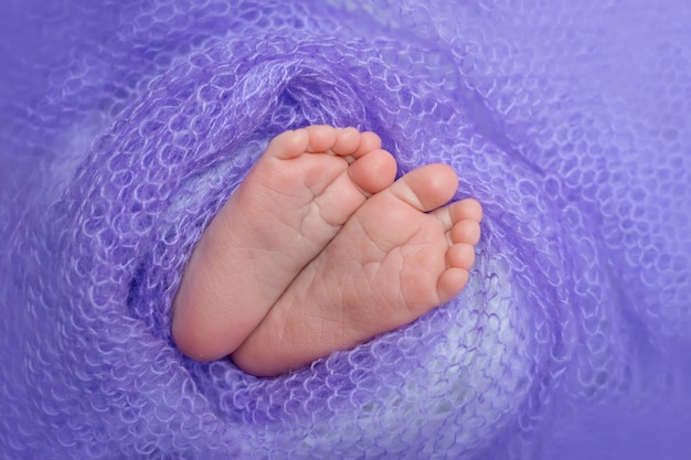 Legs of a newborn baby on a lilac background