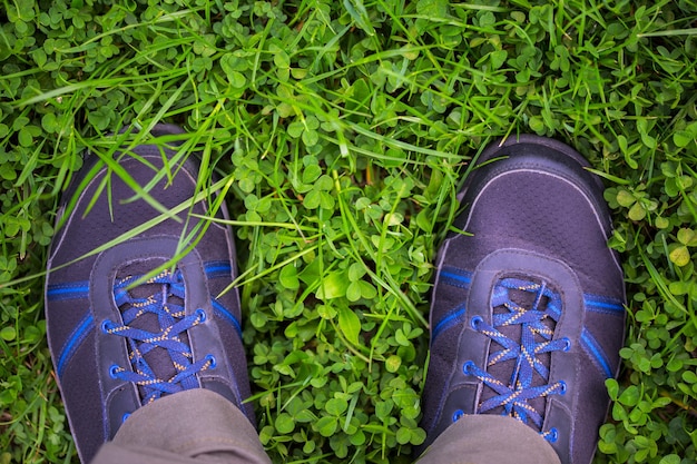 Ноги в уличной обуви на поле травы клевера крупным планом с избирательным фокусом