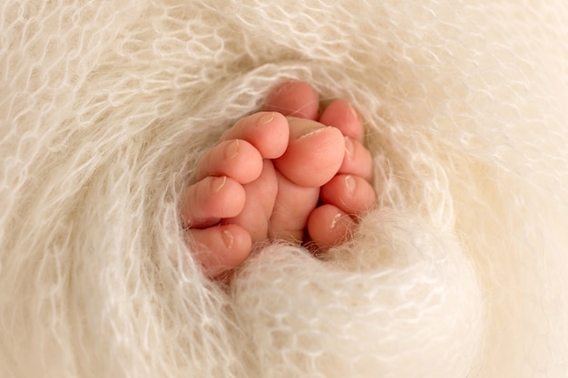 Legs, toes, feet and heels of a newborn baby. Wrapped in a gray, beige, pink, white knitted blanket. Black and white photo. High quality photo