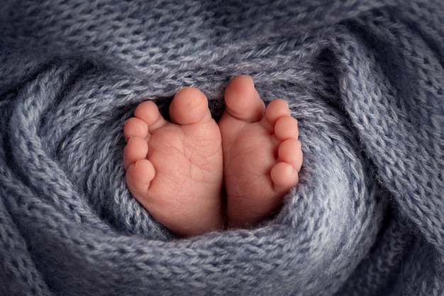 Legs, toes, feet and heels of a newborn baby. Wrapped in a gray, beige, pink, white knitted blanket. Black and white photo. High quality photo